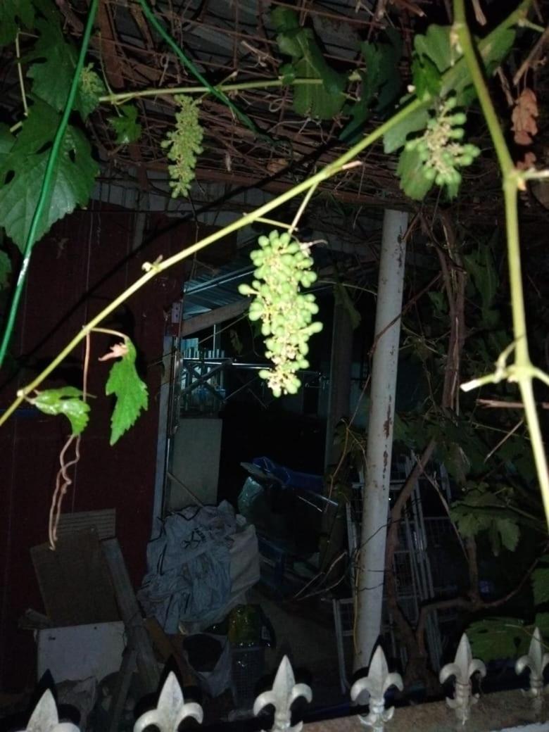 Singgahan Keluarga Jitu Jitra Esterno foto
